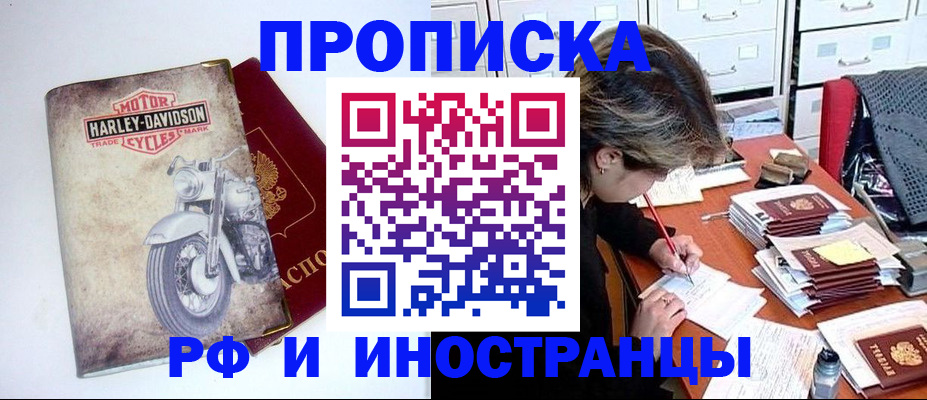 прописка паспорт в Дмитрове